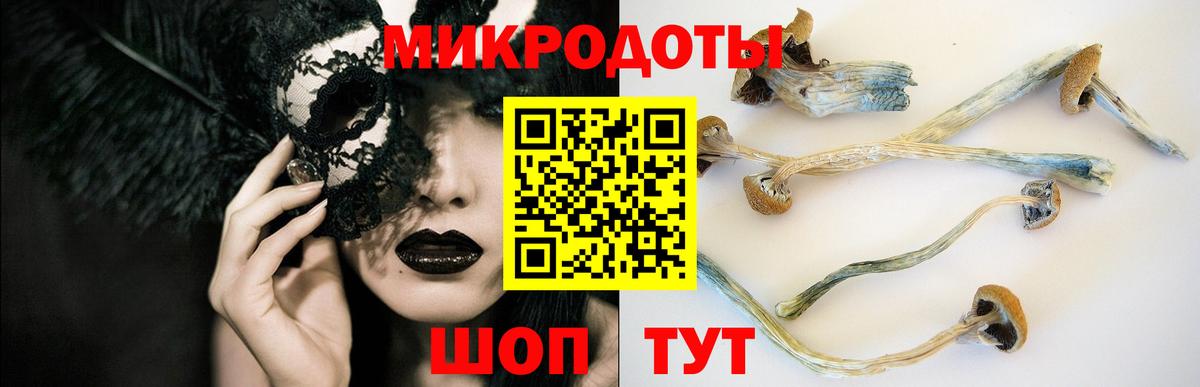 Псилоцибиновые грибы Cubensis Ноябрьск