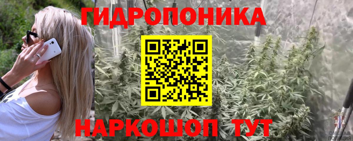 Шишки марихуана Bruce Banner Ноябрьск